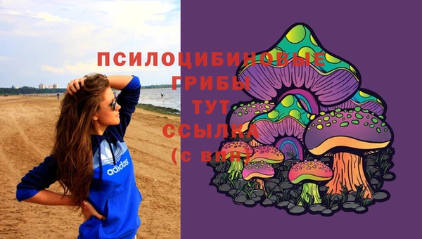 альфа пвп Нефтегорск