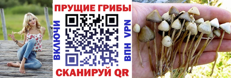 Купить  Зея  Псилоцибиновые грибы MAGIC MUSHROOMS 